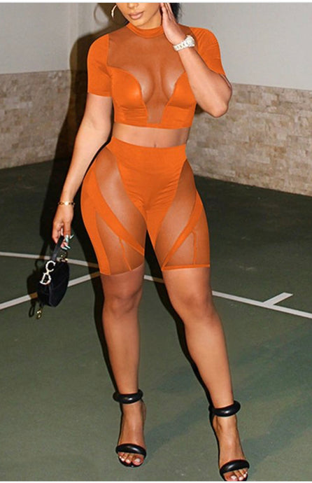 Problem Solver (Orange)